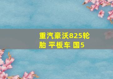 重汽豪沃825轮胎 平板车 国5